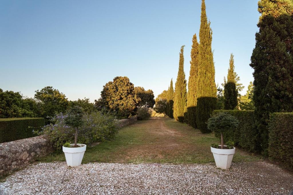 Imani Country House — 4