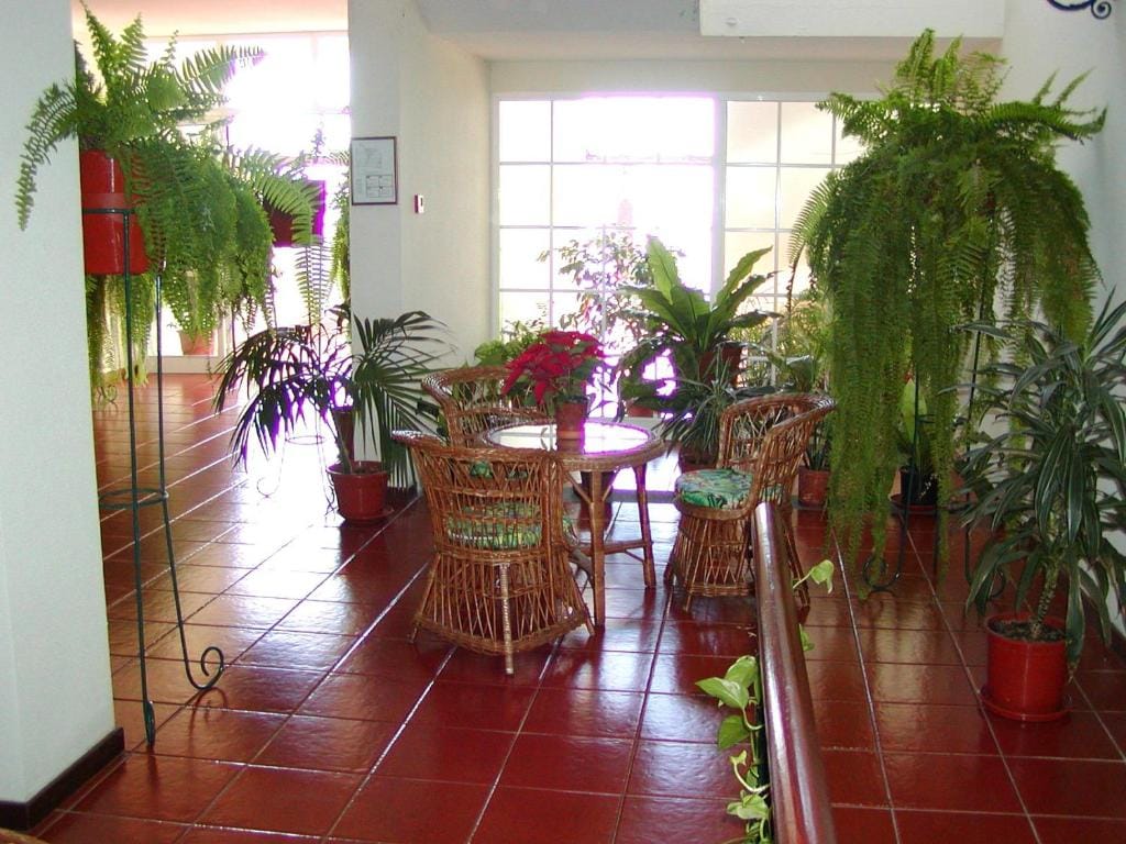 Vila Marta — 4