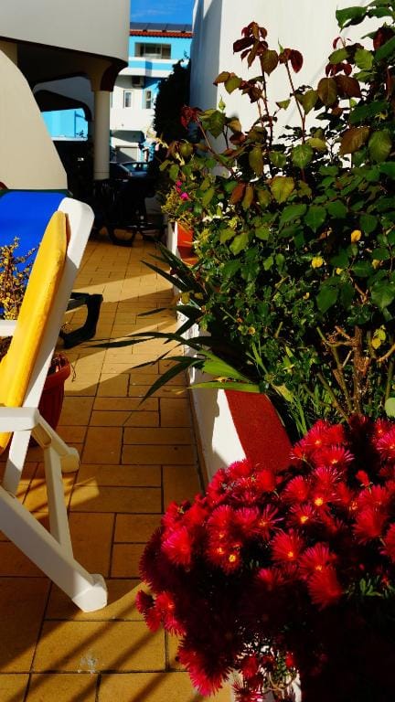 Apartamentos e Quartos Atalaia — 1