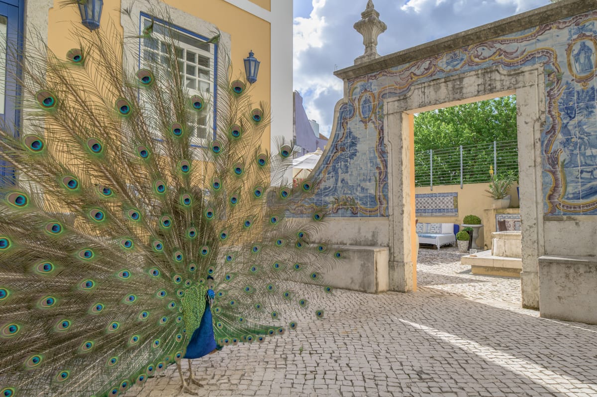 Solar do Castelo — 5